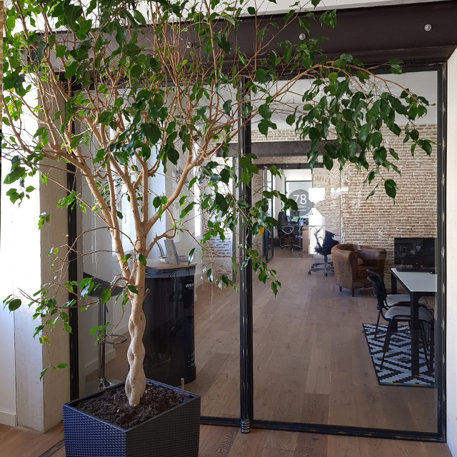 Bureau-Agence-78-Courtier-Associé-Immobilier Nos bureaux de courtier en crédit immobilier à La Seyne sur Mer vous accueillent