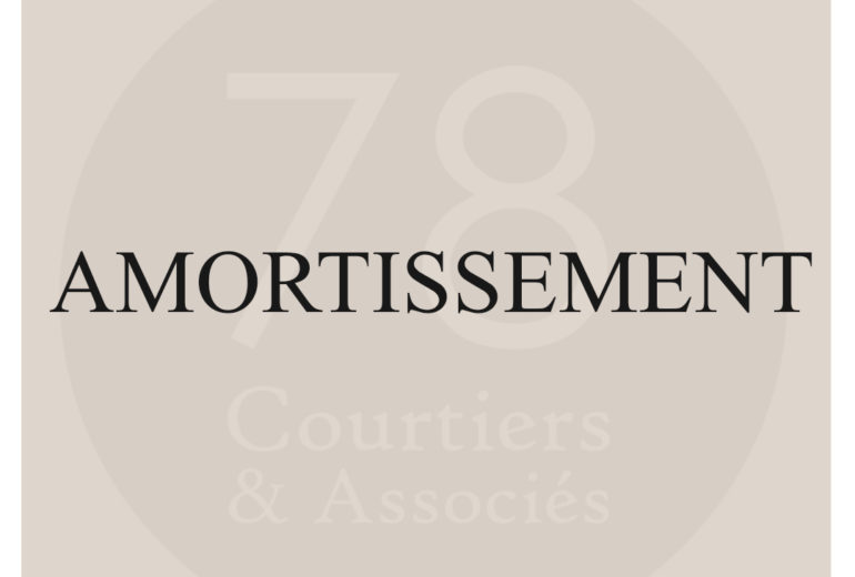 Définition de l'amortissement