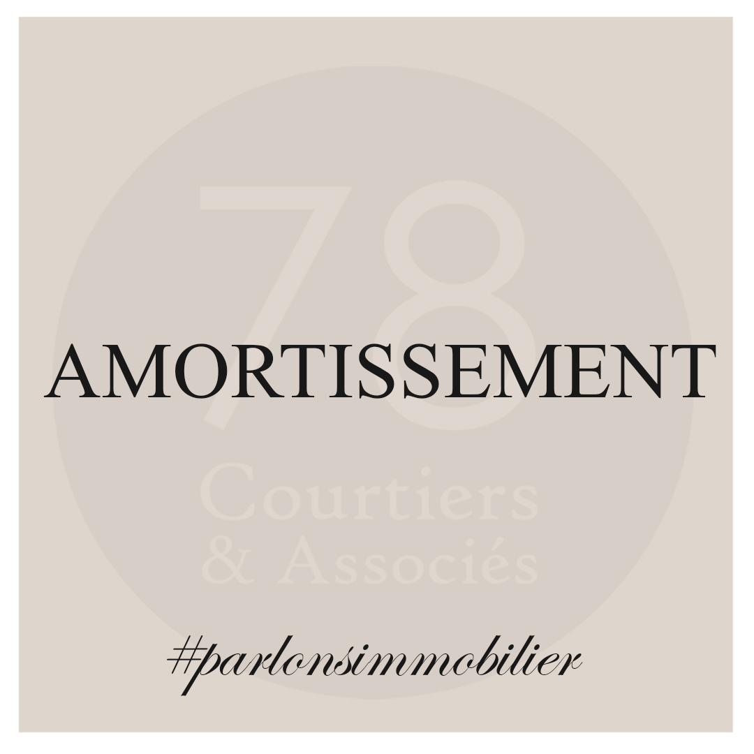 Définition de l'amortissement