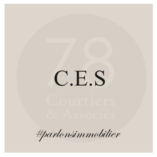 Définition du CES