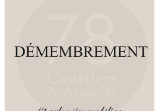 87- Démembrement 0